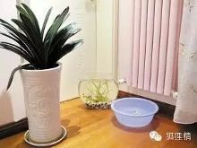 房间里放盆水