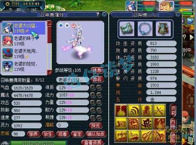 普陀带什么宝宝