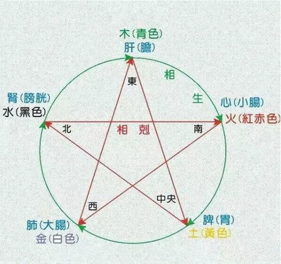 五行属木代表健康的字