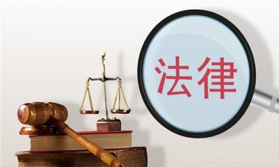 法律的执行机关