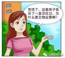 物业费什么时间交