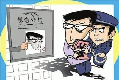 强制执行可以上诉吗