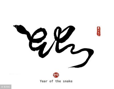 算一年运势