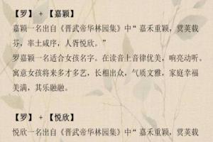 姓罗取名字大全集