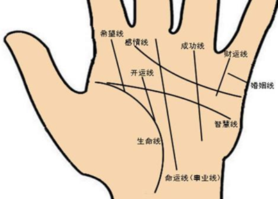 男左手婚姻线图解大全