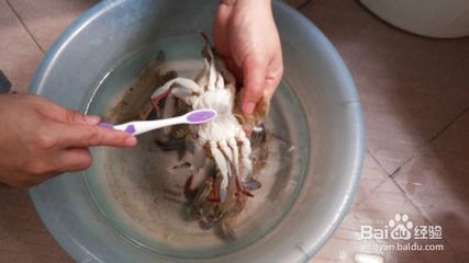 螃蟹怎么清洗
