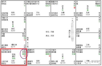 宗五行属什么