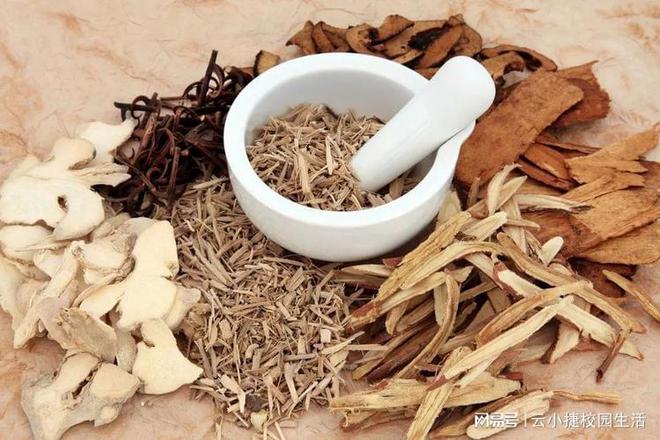 治疗咳嗽的中药配方