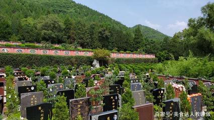 公墓风水几排几号好