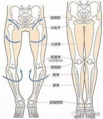 滑膜囊肿怎么治疗