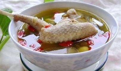 孕妇鸽子汤禁忌