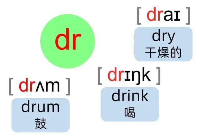 dody音标