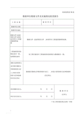 实施情况怎么写