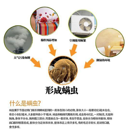 宝宝对螨虫过敏怎么办
