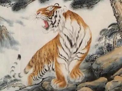 属虎今年犯太岁