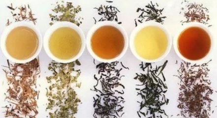 红茶绿茶白茶