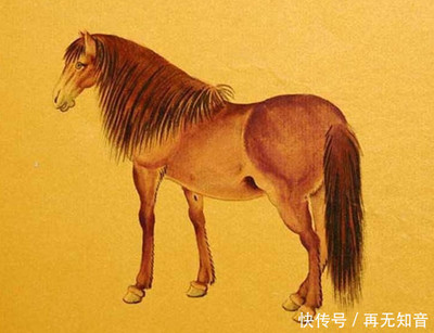 属马和属虎婚姻相配吗