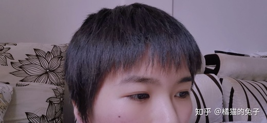 三个月头发长多长