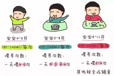 一岁四个月宝宝奶量