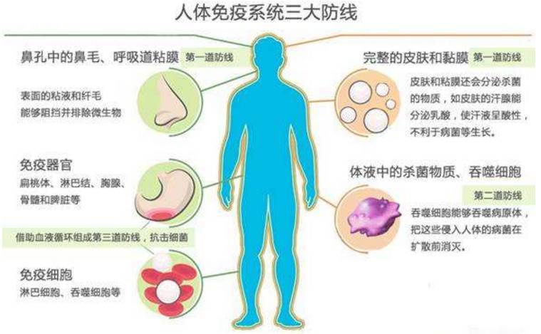 免疫全部下来多少钱