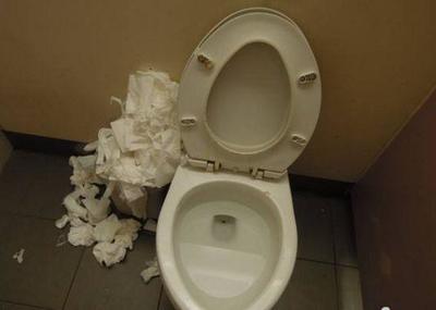 卫生纸会堵厕所吗