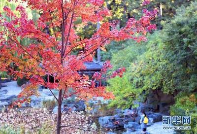 北京香山附近景点