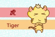 属狗的和属蛇的合财吗