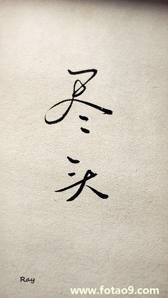 杨 英文名