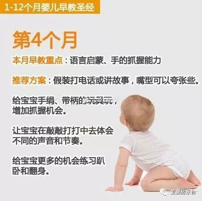 17个月宝宝早教内容