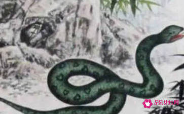 蛇三合生肖是什么