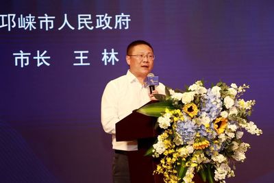 成都王林