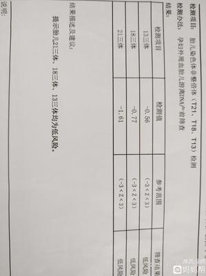 4个月了dna检查正常是多少钱