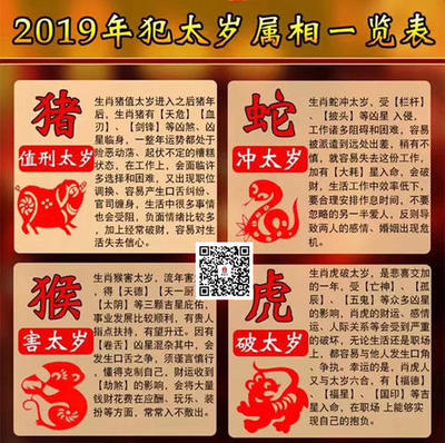 2016年是什么命
