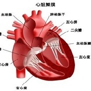 左心有点疼是怎么回事