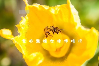 上海离婚女律师