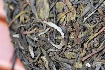普洱算什么茶
