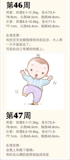 宝宝一岁头围多少正常