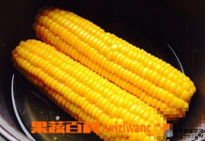 减肥吃玉米会胖吗