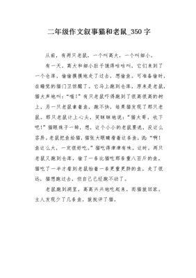 怎么写猫抓老鼠的作文