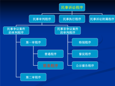执行案件流程
