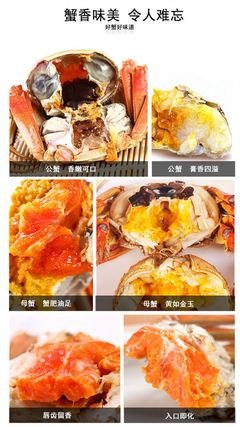 辣椒炒大闸蟹做法大全家常