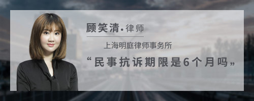 民事抗诉期限 6个月
