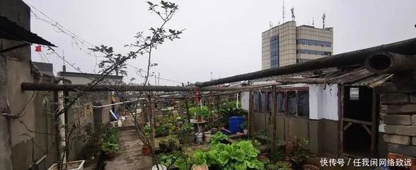 花园银行顶楼怎么上去