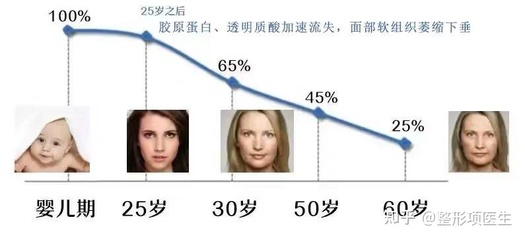 玻尿酸学名