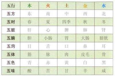 维  五行