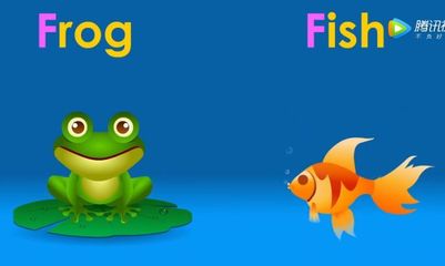 frog发音要注意什么