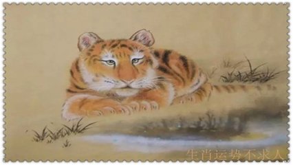 生肖虎今天运势