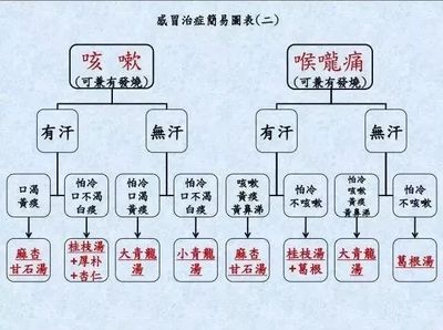 倪海厦 咳嗽