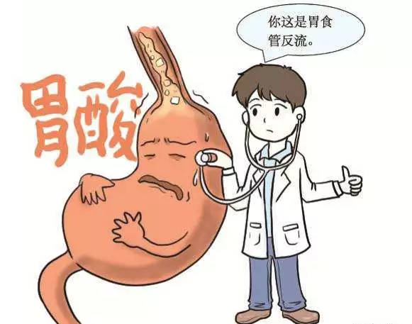 胃口反流是怎么回事啊