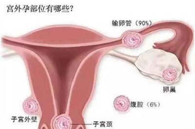 怀孕十一周有什么症状